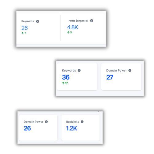 Website Rankings Growth Chart